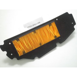 901-52-551  Φίλτρο Αέρος Sym GTS-250-300