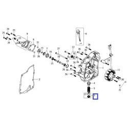 1236AV02000   Τάπα Εξαγωγής Λαδιού SYM HD-SYMPHONY-GTS