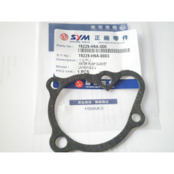19229H9A000  Φλάντζα Καπακιού Αντλίας Νερού SYM Citycom 300i GTS-250-300 