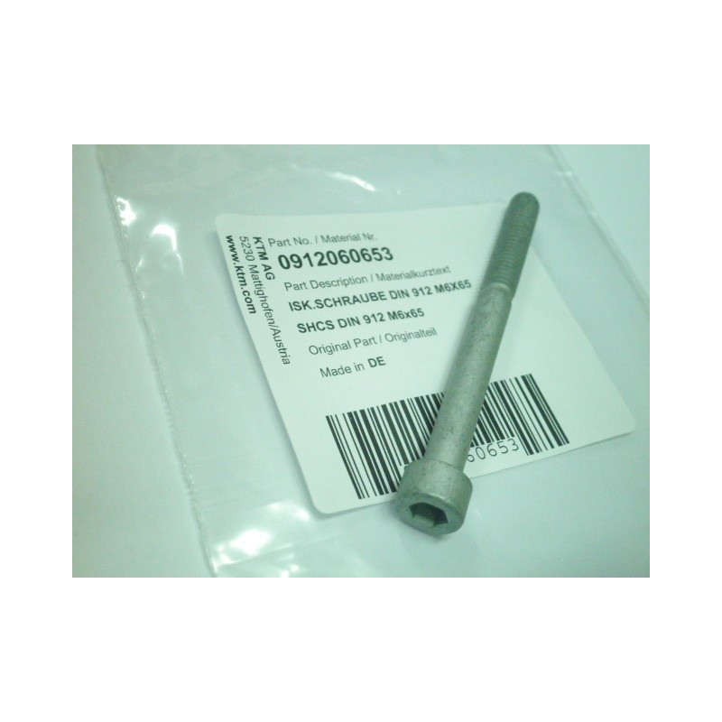 0912060653  Vibrations Absorber Screw KTM Duke 690