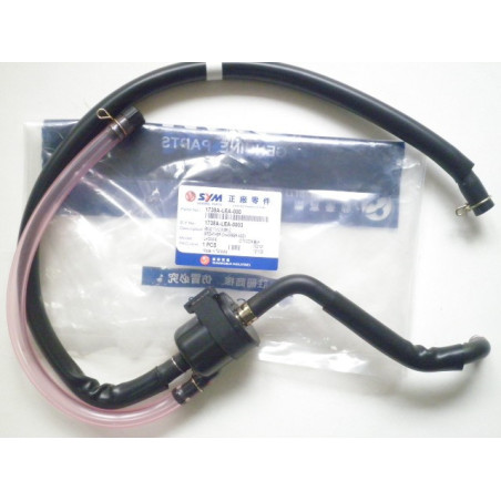 1738ALEA000  Breather Chamber Assy. SYM Citycom 300i