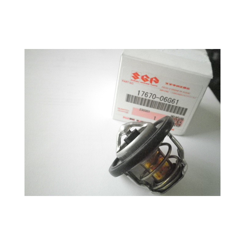 1767006G61  Thermostat Suzuki DL-650 V-Strom '12-'20
