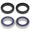 25-1081   All Balls Racing Front Wheel Bearings & Seals Kit Honda CRF-250R/450R '02-'22 