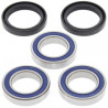 25-1250  All Balls Racing Rear Wheel Bearings & Seals Kit Honda CRF-250R/450R '02-'22 