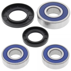 25-1269  All Balls  Ball Bearings-Dust seals Set  Suzuki GSF-650 Bandit '05-'08