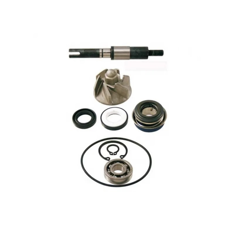 100110190  RMS Water Pump Repair Kit Honda SH-125/150  '01-'12