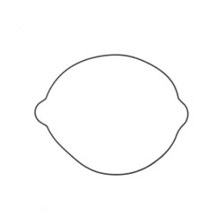 S410270008021  Athena Clutch Cover Outside Gasket KTM EXC-SX 250  2-stroke '04-'16