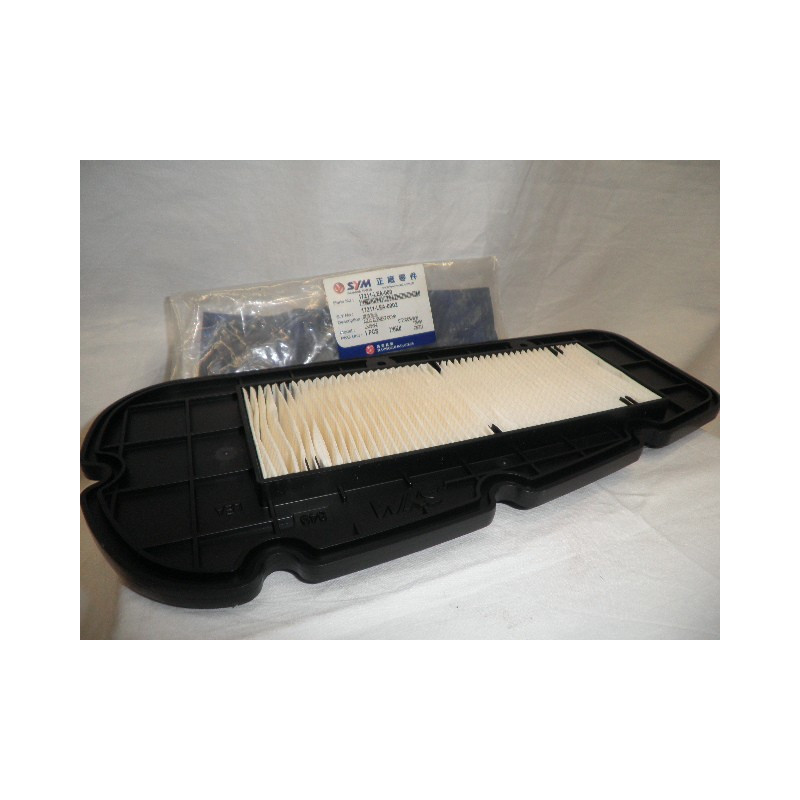 17211LEA000  Sym Air Filter  Citycom-300