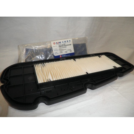 17211LEA000  Sym Air Filter  Citycom-300