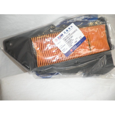17211VS1000  Sym Air Filter  VS-125/200