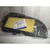 17211HHA000  Sym Air Filter HD-125/200