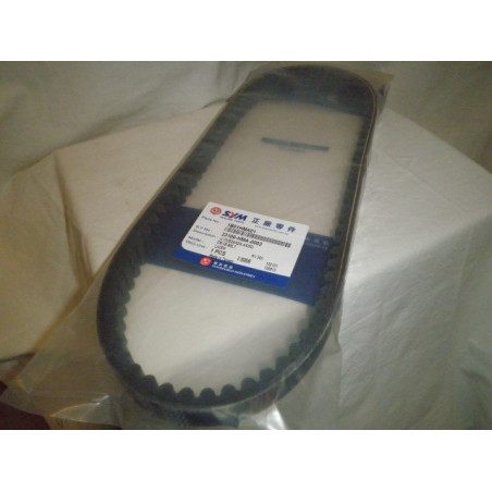 1B01HMA01  Sym Drive Belt GTS-250
