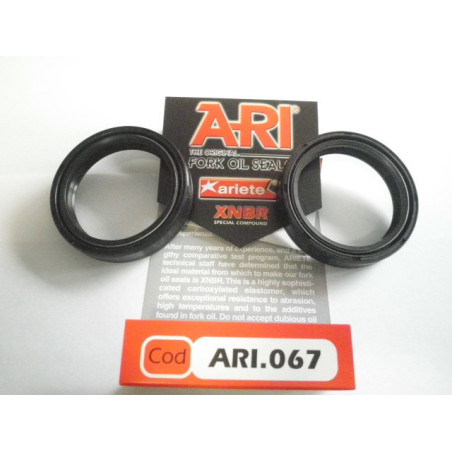 ARI067  Front Fork Oil Seals Set Honda 45X57X11 